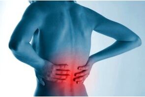 Focus on osteochondrosis of the spine