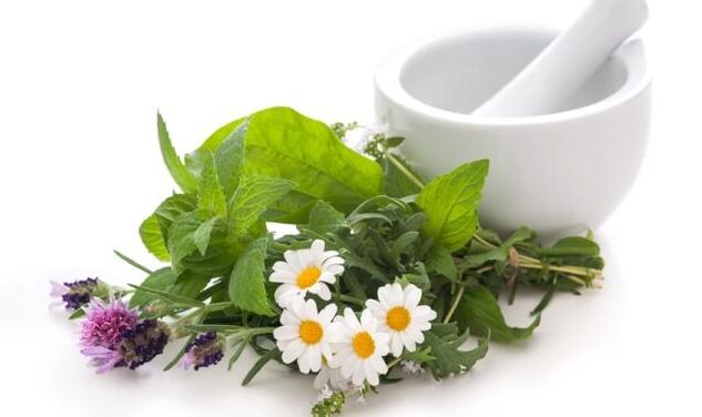 Medicinal plants - the basis of means of external influence on the knee joint affected by arthrosis